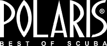 Polaris logo